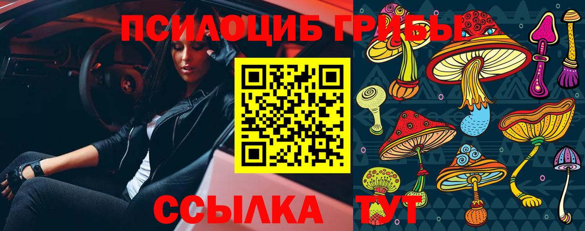 Верхняя Салда  Галлюциногенные грибы MAGIC MUSHROOMS  Вход с VPN 